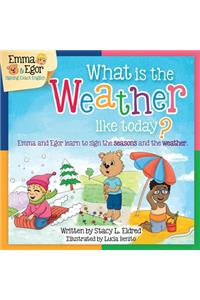 What is the Weather Like Today?