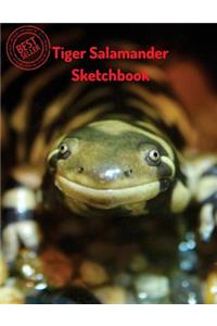 Tiger Salamander Sketchbook: Blank Paper for Drawing, Doodling or Sketching 120 Large Blank Pages (8.5x11) for Sketching, inspiring, Drawing Anything Kids Love to do and to Impr