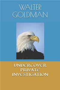 Undercover Private Investigation
