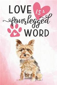 Love Is a Four Legged Word