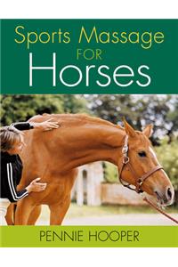 Sports Massage for Horses