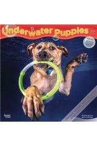 Underwater Puppies 2021 Square