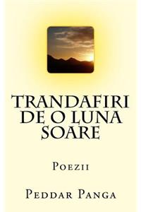 Trandafiri de O Luna Soare