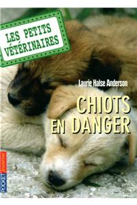 Petits Veterinaires N1 Chiots