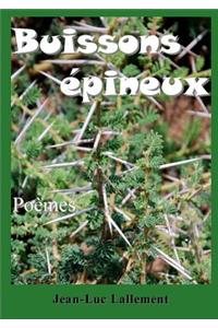 Buissons Epineux