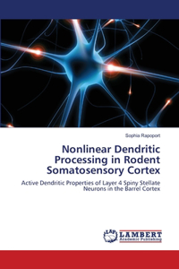 Nonlinear Dendritic Processing in Rodent Somatosensory Cortex