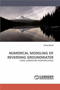 Numerical Modeling of Reversing Groundwater