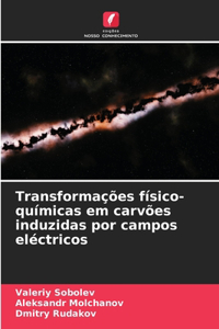 Transformações físico-químicas em carvões induzidas por campos eléctricos