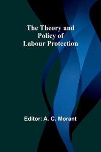 Theory and Policy of Labour Protection