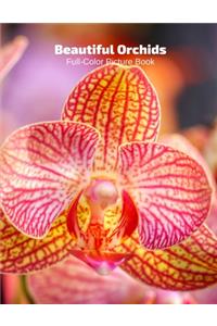 Beautiful Orchids Full-Color Picture Book