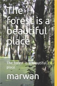 The forest is a beautiful place