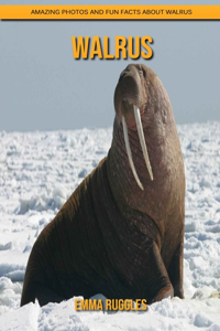 Walrus