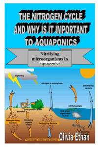 The Nitrogen Cycle and Why Is It Important to Aquaponics