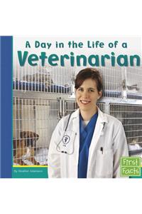 Day in the Life of a Veterinarian