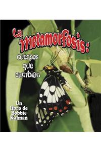 La Metamorfosis: Cuerpos Que Cambian (Metamorphosis: Changing Bodies)