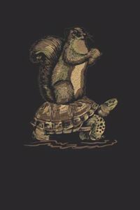 Squirrels