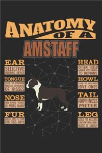 Anatomy Of A Amstaff