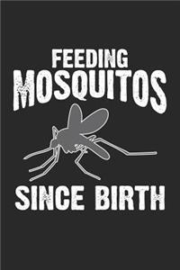 Feeding Mosquitos since Birth