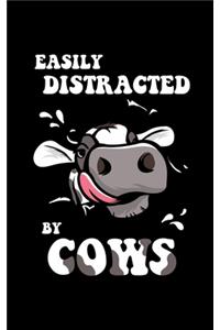 Easily Distracted By Cows