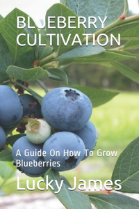 Blueberry Cultivation