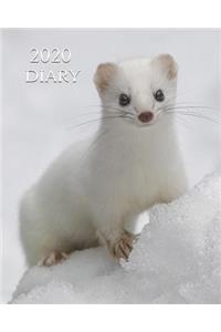2020 Diary