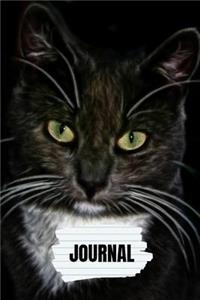 Journal