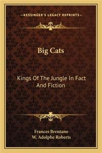 Big Cats