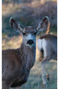 Kid's Petite Deer Journal