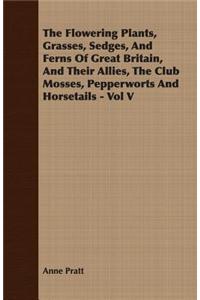 Flowering Plants, Grasses, Sedges, and Ferns of Great Britain, and Their Allies, the Club Mosses, Pepperworts and Horsetails - Vol V