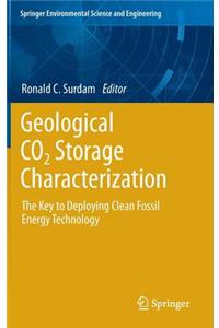 Geological Co2 Storage Characterization
