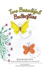 Two Beautiful Butterflies