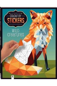 Kaleidoscope Colour by Stickers: Wild Creatures