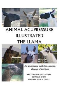 Animal Acupressure Illustrated The Llama