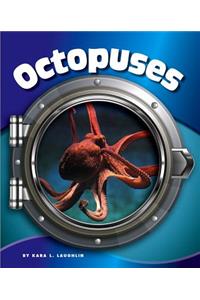 Octopuses