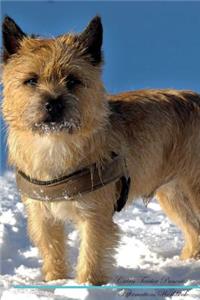 Cairn Terrier Affirmations Workbook Cairn Terrier Presents: Positive and Loving Affirmations Workbook. Includes: Mentoring Questions, Guidance, Supporting You.