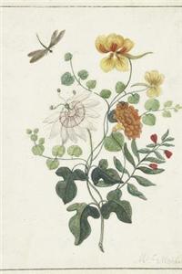 Still Life of Flowers bt Machtelt Moninckx Botanical Art Journal