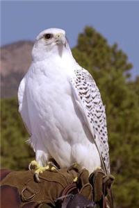 Gyrfalcon Bird Journal: 150 Page Lined Notebook/Diary