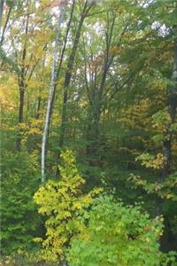 Journal Lush Forest