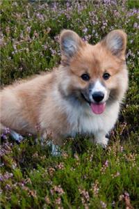 A Sweet Smiling Corgi Pup in a Flowery Meadow Journal