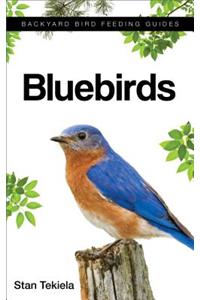 Bluebirds