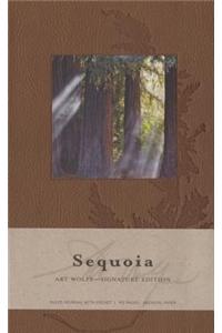 Sequoia Hardcover Ruled Journal (Large)