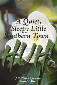 Quiet, Sleepy Little Southern Town HUH!