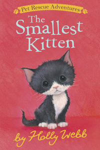 Smallest Kitten