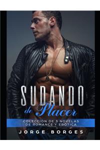 Sudando de Placer: Colección de 3 Novelas de Romance y Erótica