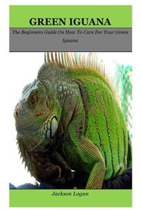Green Iguana