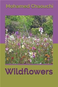 Wildflowers