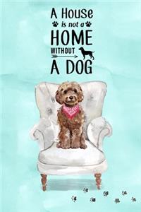 A House is Not a Home Without a Dog