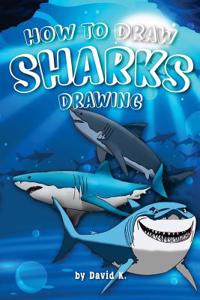 How to Draw Sharks Drawing