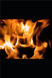 Com Meus Cinco Sentidos Me Apaixonei