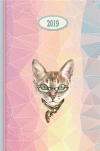 2019 Planner - Rainbow Cat